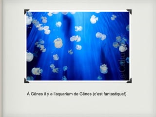 À Gênes il y a l’aquarium de Gênes (c’est fantastique!) 
 