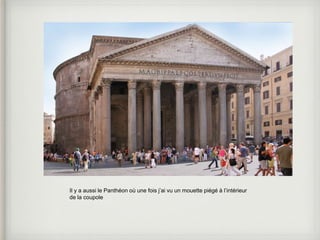 Il y a aussi le Panthéon où une fois j’ai vu un mouette piégé à l’intérieur 
de la coupole 
 