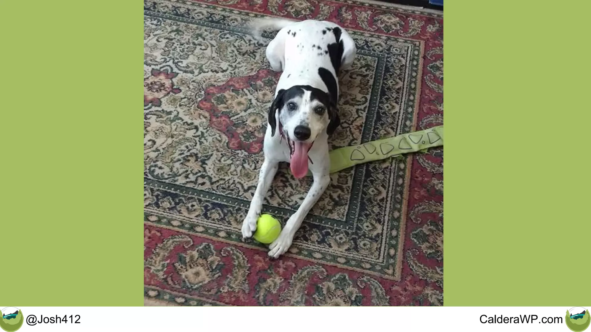 @Josh412 CalderaWP.com
 