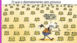 O que o desmatamento vem provoca
 