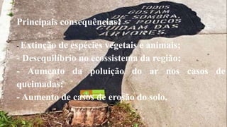 Principais consequências:
- Extinção de espécies vegetais e animais;
- Desequilíbrio no ecossistema da região;
- Aumento da poluição do ar nos casos de
queimadas;
- Aumento de casos de erosão do solo.
 