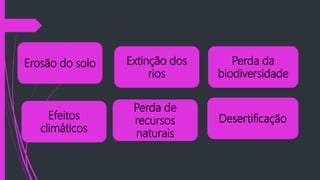 Erosão do solo Perda da
biodiversidade
Perda de
recursos
naturais
Efeitos
climáticos
Extinção dos
rios
Desertificação
 