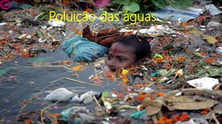 Poluição das águas
 