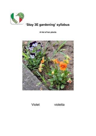 ‘Stay 3E gardening’ syllabus
A list of ten plants
Violet violetta
 