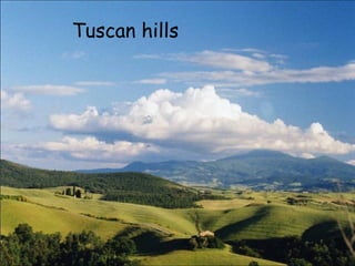 Tuscan hills

 