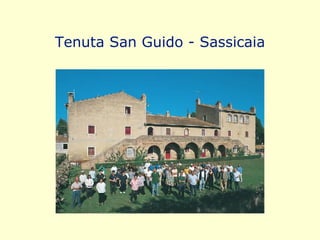 Tenuta San Guido - Sassicaia 