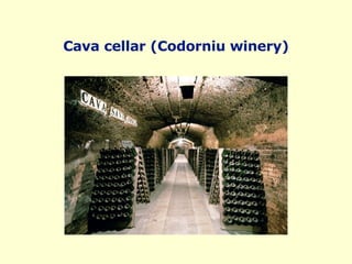Cava cellar (Codorniu winery) 