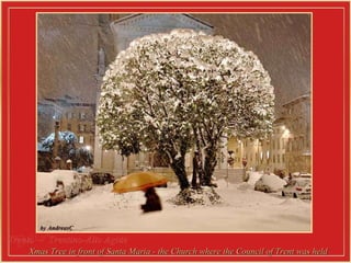 Trento  –  Trentino-Alto Agide  Xmas Tree in front of Santa Maria - the Church where the Council of Trent was held  