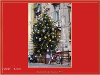Verona –  Veneto   A romantic Christmas tree   