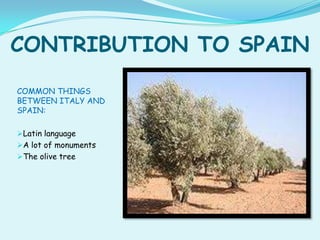 CONTRIBUTION TO SPAIN
COMMON THINGS
BETWEEN ITALY AND
SPAIN:

Latin language
A lot of monuments
The olive tree
 