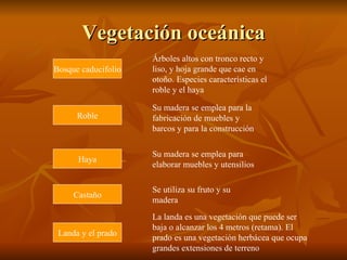 Vegetación oceánica Bosque caducifolio Árboles altos con tronco recto y liso, y hoja grande que cae en otoño. Especies características el roble y el haya Roble Su madera se emplea para la fabricación de muebles y barcos y para la construcción  Haya Su madera se emplea para elaborar muebles y utensilios Castaño Se utiliza su fruto y su madera Landa y el prado La landa es una vegetación que puede ser baja o alcanzar los 4 metros (retama). El prado es una vegetación herbácea que ocupa grandes extensiones de terreno 