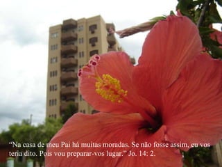 “ Na casa de meu Pai há muitas moradas. Se não fosse assim, eu vos teria dito. Pois vou preparar-vos lugar.” Jo. 14: 2. 