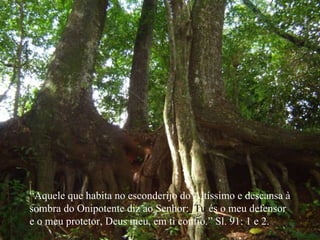“ Aquele que habita no esconderijo do Altíssimo e descansa à sombra do Onipotente diz ao Senhor:_ Tu  és o meu defensor  e o meu protetor, Deus meu, em ti confio.” Sl. 91: 1 e 2. 
