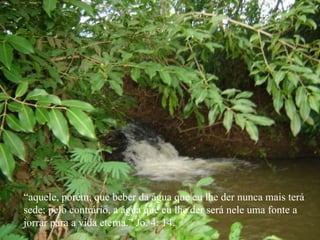“ aquele, porém, que beber da água que eu lhe der nunca mais terá  sede; pelo contrário, a água que eu lhe der será nele uma fonte a  jorrar para a vida eterna.” Jo. 4: 14. 