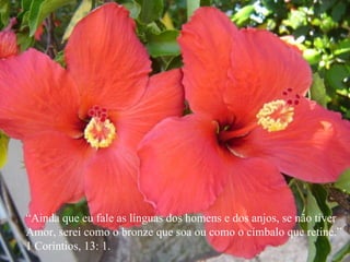 “ Ainda que eu fale as línguas dos homens e dos anjos, se não tiver Amor, serei como o bronze que soa ou como o címbalo que retine.” 1 Coríntios, 13: 1. “ Ainda que eu fale as línguas dos homens e dos anjos, se não tiver Amor, serei como o bronze que soa ou como o címbalo que retine.” 1 Coríntios, 13: 1. 