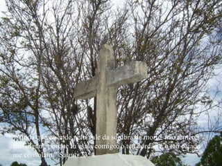 “ Ainda que eu ande pelo vale da sombra da morte, não temerei mal algum, porque tu estás comigo; o teu bordão e o teu cajado me consolam.” Salmo 23: 4. 