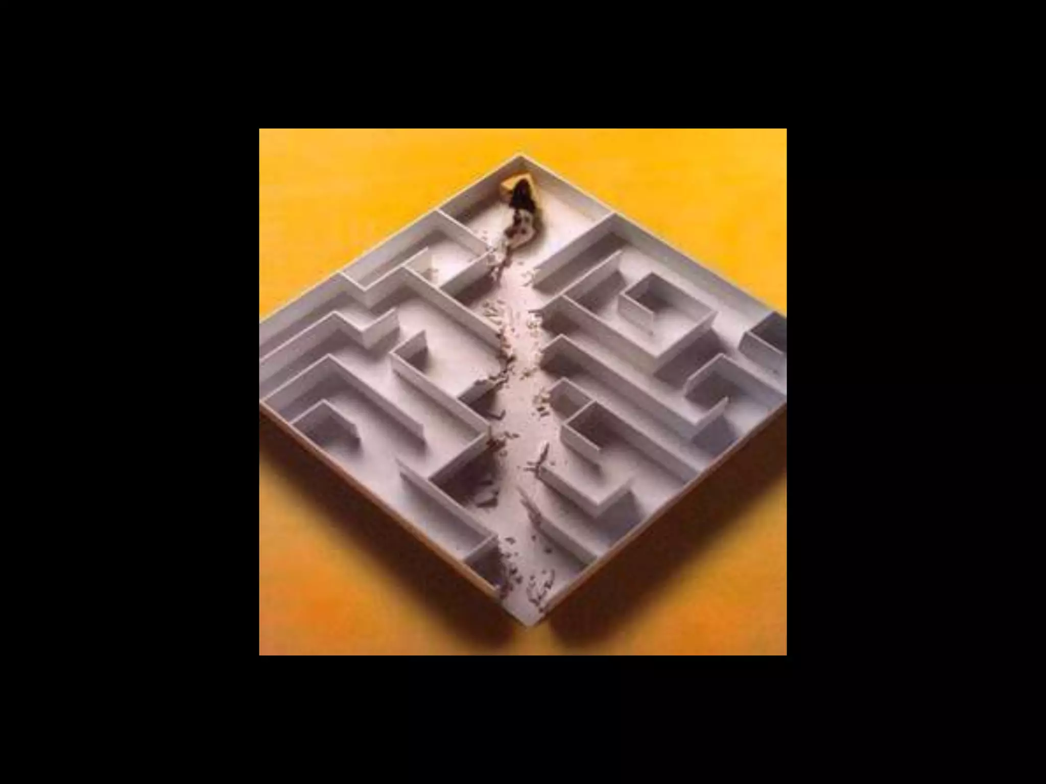 IT and Higher Education: Where are We Headed?