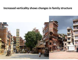 Increased verticality shows changes in family structure
 