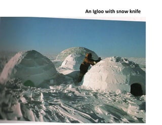 An Igloo with snow knife
 