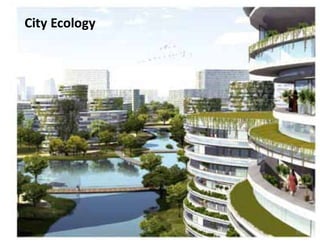 26
City Ecology
 
