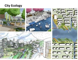 29
City Ecology
 