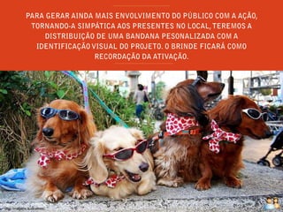 Obs: Imagens ilustrativas.
 