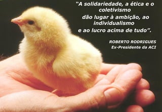 “ A solidariedade, a ética e o coletivismo dão lugar à ambição, ao individualismo  e ao lucro acima de tudo”. ROBERTO RODRIGUES Ex-Presidente da ACI 