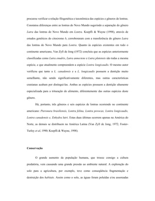 procurou verificar a relação filogenética e taxonômica das espécies e gêneros de lontras.
Constatou diferenças entre as lontras do Novo Mundo sugerindo a separação do gênero
Lutra das lontras do Novo Mundo em Lontra. Koepfli & Wayne (1998), através de
estudos genéticos do citocromo b, corroboraram com a transferência do gênero Lutra
das lontras do Novo Mundo para Lontra. Quanto às espécies existentes em todo o
continente americano, Van Zyll de Jong (1972) concluiu que as espécies anteriormente
classificadas como Lutra enudris, Lutra annectens e Lutra platensis são todas a mesma
espécie, e que atualmente compreendem a espécie Lontra longicaudis. O mesmo autor
verificou que tanto a L. canadensis e a L. longicaudis possuem a dentição muito
semelhante, não sendo significativamente diferentes, mas outras características
cranianas acabam por distingui-las. Ambas as espécies possuem a dentição altamente
especializada para a trituração do alimento, diferentemente das outras espécies deste
gênero.
Há, portanto, três gêneros e seis espécies de lontras ocorrendo no continente
americano: Pteronura brasiliensis, Lontra felina, Lontra povocax, Lontra longicaudis,
Lontra canadensis e, Enhydra lutri. Estas duas últimas ocorrem apenas na América do
Norte, as demais se distribuem na América Latina (Van Zyll de Jong, 1972; FosterTurley et al, 1990; Koepfli & Wayne, 1998).

Conservação
O grande aumento da população humana, que trouxe consigo a cultura
predatória, vem causando uma grande pressão ao ambiente natural. A exploração do
solo para a agricultura, por exemplo, teve como conseqüência fragmentação e
destruição dos habitats. Assim como o solo, as águas foram poluídas e/ou assoreadas

 