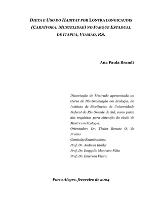 DIETA E USO DO HABITAT POR LONTRA LONGICAUDIS
(CARNÍVORA: MUSTELIDAE) NO PARQUE ESTADUAL
DE ITAPUÃ, VIAMÃO, RS.

Ana Paula Brandt

Dissertação de Mestrado apresentada ao
Curso de Pós-Graduação em Ecologia, do
Instituto de Biociências da Universidade
Federal do Rio Grande do Sul, como parte
dos requisitos para obtenção do título de
Mestre em Ecologia.
Orientador: Dr. Thales Renato O. de
Freitas
Comissão Examinadora:
Prof. Dr. Andreas Kindel
Prof. Dr. Emygdio Monteiro-Filho
Prof. Dr. Emerson Vieira

Porto Alegre, fevereiro de 2004

 