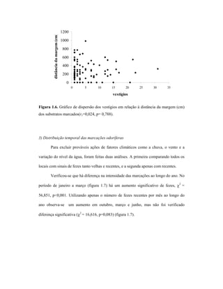 distância da margem (cm)

1200
1000
800
600
400
200
0
0

5

10

15

20

25

30

35

vestígios

Figura 1.6. Gráfico de dispersão dos vestígios em relação à distância da margem (cm)
dos substratos marcados(rs=0,024, p= 0,788).

3) Distribuição temporal das marcações odoríferas
Para excluir prováveis ações de fatores climáticos como a chuva, o vento e a
variação do nível da água, foram feitas duas análises. A primeira comparando todos os
locais com sinais de fezes tanto velhas e recentes, e a segunda apenas com recentes.
Verificou-se que há diferença na intensidade das marcações ao longo do ano. No
período de janeiro a março (figura 1.7) há um aumento significativo de fezes, χ2 =
56,851, p<0,001. Utilizando apenas o número de fezes recentes por mês ao longo do
ano observa-se

um aumento em outubro, março e junho, mas não foi verificado

diferença significativa (χ2 = 16,616, p=0,083) (figura 1.7).

 
