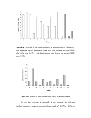 100

freqüência ao longo do ano

90
80
70
60
50
40
30
20
10
0
1

2

3

4

5

6

7

8

9

10

11

12

13

14

15

Tocas

Figura 1.16. Freqüência de uso das tocas ao longo do período de estudo. Tocas de 1-12
estão localizadas na área da praia do Araçá até a praia da Onça (de agosto/2002 a
julho/2003); tocas de 13-15 estão localizadas na praia do sítio (de setembro/2002 a
agosto/2003).

120

número de fezes

100
80
60
40
20
0
1

2

3

4

5

6

7

8

9

10

11

12

tocas

Figura 1.17. Número de fezes nas tocas entre a praia do Araçá e da Onça.
As tocas que mostraram a intensidade de uso constante, sem diferenças
significativas durante o tempo de amostragem foram: toca 2 (χ2= 16,979, p > 0,05), toca

 