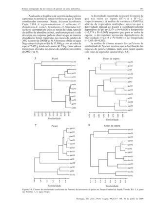 Estudo comparado da taxocenose de peixes em dois ambientes...

181

Analisando a freqüência de ocorrência das espécies
capturadas no período de estudo verificou-se que 21 foram
consideradas constantes. Destas, Astyanax jacuhiensis
Cope, 1894, A. eigenmanniorum, C. alburnus, C.
ibicuhiensis, C. voga, G. brasiliensis, H. bifasciatus e H.
luetkenii ocorreram em todos os meses de coleta. Através
da análise da abundância total, analisando picaré e rede
de espera em conjunto, pode-se observar que as maiores
abundâncias foram registradas nos meses de outubro de
2002 e janeiro de 2003 (Fig. 3). A biomassa obtida na lagoa
Negra através do picaré foi de 13.990 g e com as redes de
espera 27.477 g, totalizando assim, 41.536 g. Esses valores
foram mais elevados nos meses de outubro e novembro
de 2002 (Fig. 4).

A diversidade encontrada no picaré foi menor do
que nas redes de espera (H’=1,6 e H’=2,2,
respectivamente). A análise de variância (ANOVA),
através de regressões múltiplas, mostrou que a
diversidade mensal do picaré é significativamente
dependente do pH (t=2,574 e Pr=0,028) e fotoperíodo
(t=3,378 e Pr=0,007) enquanto que, para as redes de
espera, a diversidade apresenta dependência da
pluviosidade (t=2,415 e Pr=0,036) e do fotoperíodo
(t=1,365 e Pr=0,202).
A análise de cluster através do coeficiente de
similaridade de Pearson mostrou que a distribuição das
espécies de peixes coletadas, tanto com picaré quanto
com redes de espera foi sazonal (Figs. 5-8).

Figuras 5-8. Clusters de similaridade (coeficiente de Pearson) da taxocenose de peixes no Parque Estadual de Itapuã, Viamão, RS: 5, 6, praia
das Pombas; 7, 8, lagoa Negra.
Iheringia, Sér. Zool., Porto Alegre, 99(2):177-188, 30 de junho de 2009

 
