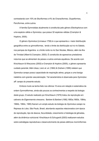 6
contrastando com 10% de Siluriformes e 4% de Characiformes, Clupeiformes,
Perciformes, entre outros.
A família Gymnotidae atualmente é constituída pelo gênero Electrophorus com
uma espécie válida e Gymnotus, que possui 32 espécies válidas (Crampton &
Hopkins, 2005).
O gênero Gymnotus (Linnaeus 1758) é o que apresenta a maior distribuição
geográfica entre os gimnotiformes, tendo o limite de distribuição sul no rio Salado,
nos pampas da Argentina e o limite norte no rio San Nicolas, México, além da ilha
de Trinidad (Albert & Crampton, 2003). É constituído de agressivos predadores
noturnos que se alimentam de peixes e outros animais aquáticos. De acordo com
Kirschbaum & Wieczorec (2002) e Crampton & Hopkins (2005), o gênero apresenta
cuidado parental. Além disso, Liem et. al. (1984) & Graham (1999) relatam que
Gymnotus carapo possui capacidade de respiração aérea, graças a uma bexiga
natatória com grande vascularização. Tal característica é observada para Gymnotus
aff. carapo do presente estudo.
Embora muito se tenha feito nos últimos 10 anos em relação à sistemática da
ordem Gymnotiformes, ainda são poucos os conhecimentos a respeito da biologia
deste grupo. O estudo realizado por Kirschbaum (1979) tratou da reprodução em
cativeiro de Eigenmannia virescens. Barbieri & Barbieri (1982,1983a,1983b, 1984a,
1984b, 1984c, 1985) fizeram um amplo estudo da biologia de Gymnotus carapo na
Represa do Lobo, São Paulo, Brasil, abordando aspectos relacionados com época
de reprodução, tipo de desova, fecundidade, crescimento e histologia de gônadas,
além da dinâmica nutricional. Kirschbaum & Schugardt (2003) realizaram estudos
sobre estratégias reprodutivas e desenvolvimento de peixes elétricos mormiriformes

 
