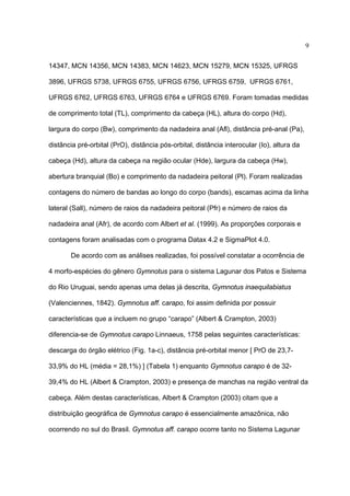 9
14347, MCN 14356, MCN 14383, MCN 14623, MCN 15279, MCN 15325, UFRGS
3896, UFRGS 5738, UFRGS 6755, UFRGS 6756, UFRGS 6759, UFRGS 6761,
UFRGS 6762, UFRGS 6763, UFRGS 6764 e UFRGS 6769. Foram tomadas medidas
de comprimento total (TL), comprimento da cabeça (HL), altura do corpo (Hd),
largura do corpo (Bw), comprimento da nadadeira anal (Afl), distância pré-anal (Pa),
distância pré-orbital (PrO), distância pós-orbital, distância interocular (Io), altura da
cabeça (Hd), altura da cabeça na região ocular (Hde), largura da cabeça (Hw),
abertura branquial (Bo) e comprimento da nadadeira peitoral (Pl). Foram realizadas
contagens do número de bandas ao longo do corpo (bands), escamas acima da linha
lateral (Sall), número de raios da nadadeira peitoral (Pfr) e número de raios da
nadadeira anal (Afr), de acordo com Albert et al. (1999). As proporções corporais e
contagens foram analisadas com o programa Datax 4.2 e SigmaPlot 4.0.
De acordo com as análises realizadas, foi possível constatar a ocorrência de
4 morfo-espécies do gênero Gymnotus para o sistema Lagunar dos Patos e Sistema
do Rio Uruguai, sendo apenas uma delas já descrita, Gymnotus inaequilabiatus
(Valenciennes, 1842). Gymnotus aff. carapo, foi assim definida por possuir
características que a incluem no grupo “carapo” (Albert & Crampton, 2003)
diferencia-se de Gymnotus carapo Linnaeus, 1758 pelas seguintes características:
descarga do órgão elétrico (Fig. 1a-c), distância pré-orbital menor [ PrO de 23,733,9% do HL (média = 28,1%) ] (Tabela 1) enquanto Gymnotus carapo é de 3239,4% do HL (Albert & Crampton, 2003) e presença de manchas na região ventral da
cabeça. Além destas características, Albert & Crampton (2003) citam que a
distribuição geográfica de Gymnotus carapo é essencialmente amazônica, não
ocorrendo no sul do Brasil. Gymnotus aff. carapo ocorre tanto no Sistema Lagunar

 