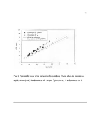16

Fig. 5: Regressão linear entre comprimento da cabeça (HL) e altura da cabeça na
região ocular (Hde) de Gymnotus aff. carapo, Gymnotus sp. 1 e Gymnotus sp. 3

 