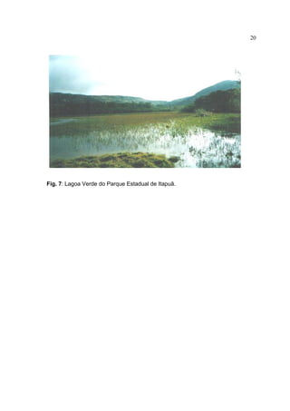 20

Fig. 7: Lagoa Verde do Parque Estadual de Itapuã.

 