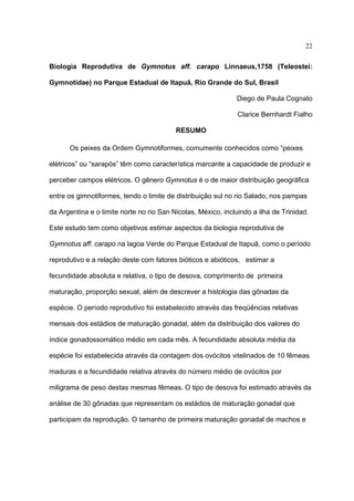 22
Biologia Reprodutiva de Gymnotus aff. carapo Linnaeus,1758 (Teleostei:
Gymnotidae) no Parque Estadual de Itapuã, Rio Grande do Sul, Brasil
Diego de Paula Cognato
Clarice Bernhardt Fialho
RESUMO
Os peixes da Ordem Gymnotiformes, comumente conhecidos como “peixes
elétricos” ou “sarapós” têm como característica marcante a capacidade de produzir e
perceber campos elétricos. O gênero Gymnotus é o de maior distribuição geográfica
entre os gimnotiformes, tendo o limite de distribuição sul no rio Salado, nos pampas
da Argentina e o limite norte no rio San Nicolas, México, incluindo a ilha de Trinidad.
Este estudo tem como objetivos estimar aspectos da biologia reprodutiva de
Gymnotus aff. carapo na lagoa Verde do Parque Estadual de Itapuã, como o período
reprodutivo e a relação deste com fatores bióticos e abióticos, estimar a
fecundidade absoluta e relativa, o tipo de desova, comprimento de primeira
maturação, proporção sexual, além de descrever a histologia das gônadas da
espécie. O período reprodutivo foi estabelecido através das freqüências relativas
mensais dos estádios de maturação gonadal, além da distribuição dos valores do
índice gonadossomático médio em cada mês. A fecundidade absoluta média da
espécie foi estabelecida através da contagem dos ovócitos vitelinados de 10 fêmeas
maduras e a fecundidade relativa através do número médio de ovócitos por
miligrama de peso destas mesmas fêmeas. O tipo de desova foi estimado através da
análise de 30 gônadas que representam os estádios de maturação gonadal que
participam da reprodução. O tamanho de primeira maturação gonadal de machos e

 