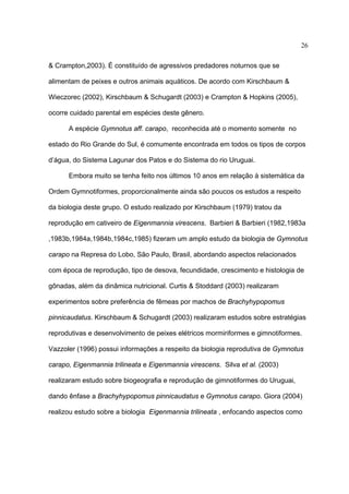 26
& Crampton,2003). É constituído de agressivos predadores noturnos que se
alimentam de peixes e outros animais aquáticos. De acordo com Kirschbaum &
Wieczorec (2002), Kirschbaum & Schugardt (2003) e Crampton & Hopkins (2005),
ocorre cuidado parental em espécies deste gênero.
A espécie Gymnotus aff. carapo, reconhecida até o momento somente no
estado do Rio Grande do Sul, é comumente encontrada em todos os tipos de corpos
d’água, do Sistema Lagunar dos Patos e do Sistema do rio Uruguai.
Embora muito se tenha feito nos últimos 10 anos em relação à sistemática da
Ordem Gymnotiformes, proporcionalmente ainda são poucos os estudos a respeito
da biologia deste grupo. O estudo realizado por Kirschbaum (1979) tratou da
reprodução em cativeiro de Eigenmannia virescens. Barbieri & Barbieri (1982,1983a
,1983b,1984a,1984b,1984c,1985) fizeram um amplo estudo da biologia de Gymnotus
carapo na Represa do Lobo, São Paulo, Brasil, abordando aspectos relacionados
com época de reprodução, tipo de desova, fecundidade, crescimento e histologia de
gônadas, além da dinâmica nutricional. Curtis & Stoddard (2003) realizaram
experimentos sobre preferência de fêmeas por machos de Brachyhypopomus
pinnicaudatus. Kirschbaum & Schugardt (2003) realizaram estudos sobre estratégias
reprodutivas e desenvolvimento de peixes elétricos mormiriformes e gimnotiformes.
Vazzoler (1996) possui informações a respeito da biologia reprodutiva de Gymnotus
carapo, Eigenmannia trilineata e Eigenmannia virescens. Silva et al. (2003)
realizaram estudo sobre biogeografia e reprodução de gimnotiformes do Uruguai,
dando ênfase a Brachyhypopomus pinnicaudatus e Gymnotus carapo. Giora (2004)
realizou estudo sobre a biologia Eigenmannia trilineata , enfocando aspectos como

 