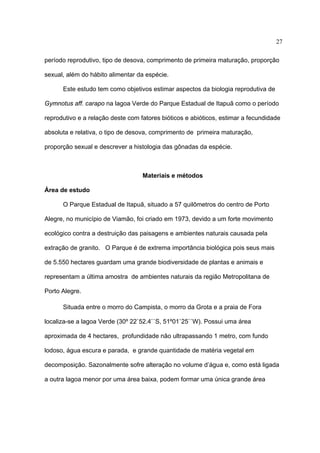 27
período reprodutivo, tipo de desova, comprimento de primeira maturação, proporção
sexual, além do hábito alimentar da espécie.
Este estudo tem como objetivos estimar aspectos da biologia reprodutiva de
Gymnotus aff. carapo na lagoa Verde do Parque Estadual de Itapuã como o período
reprodutivo e a relação deste com fatores bióticos e abióticos, estimar a fecundidade
absoluta e relativa, o tipo de desova, comprimento de primeira maturação,
proporção sexual e descrever a histologia das gônadas da espécie.

Materiais e métodos
Área de estudo
O Parque Estadual de Itapuã, situado a 57 quilômetros do centro de Porto
Alegre, no município de Viamão, foi criado em 1973, devido a um forte movimento
ecológico contra a destruição das paisagens e ambientes naturais causada pela
extração de granito. O Parque é de extrema importância biológica pois seus mais
de 5.550 hectares guardam uma grande biodiversidade de plantas e animais e
representam a última amostra de ambientes naturais da região Metropolitana de
Porto Alegre.
Situada entre o morro do Campista, o morro da Grota e a praia de Fora
localiza-se a lagoa Verde (30º 22`52.4``S, 51º01`25``W). Possui uma área
aproximada de 4 hectares, profundidade não ultrapassando 1 metro, com fundo
lodoso, água escura e parada, e grande quantidade de matéria vegetal em
decomposição. Sazonalmente sofre alteração no volume d’água e, como está ligada
a outra lagoa menor por uma área baixa, podem formar uma única grande área

 