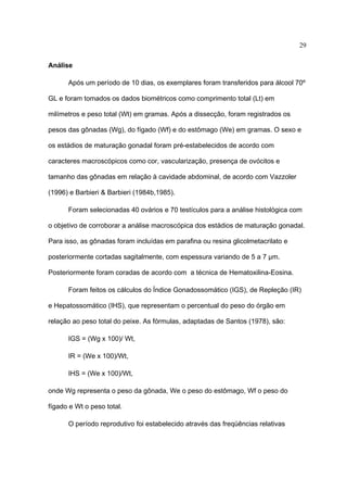 29
Análise
Após um período de 10 dias, os exemplares foram transferidos para álcool 70º
GL e foram tomados os dados biométricos como comprimento total (Lt) em
milímetros e peso total (Wt) em gramas. Após a dissecção, foram registrados os
pesos das gônadas (Wg), do fígado (Wf) e do estômago (We) em gramas. O sexo e
os estádios de maturação gonadal foram pré-estabelecidos de acordo com
caracteres macroscópicos como cor, vascularização, presença de ovócitos e
tamanho das gônadas em relação à cavidade abdominal, de acordo com Vazzoler
(1996) e Barbieri & Barbieri (1984b,1985).
Foram selecionadas 40 ovários e 70 testículos para a análise histológica com
o objetivo de corroborar a análise macroscópica dos estádios de maturação gonadal.
Para isso, as gônadas foram incluídas em parafina ou resina glicolmetacrilato e
posteriormente cortadas sagitalmente, com espessura variando de 5 a 7 µm.
Posteriormente foram coradas de acordo com a técnica de Hematoxilina-Eosina.
Foram feitos os cálculos do Índice Gonadossomático (IGS), de Repleção (IR)
e Hepatossomático (IHS), que representam o percentual do peso do órgão em
relação ao peso total do peixe. As fórmulas, adaptadas de Santos (1978), são:
IGS = (Wg x 100)/ Wt,
IR = (We x 100)/Wt,
IHS = (We x 100)/Wt,
onde Wg representa o peso da gônada, We o peso do estômago, Wf o peso do
fígado e Wt o peso total.
O período reprodutivo foi estabelecido através das freqüências relativas

 