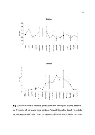 37

Machos
0,6
0,5

IGS (%)

0,4
0,3
0,2
0,1

Dezembro B

Janeiro A

Janeiro B

Fevereiro

Março A

Março B

Abril A

Abril B

Dezembro B

Janeiro A

Janeiro B

Fevereiro

Março A

Março B

Abril A

Abril B

Dezembro A

Novembro

Outubro

Setembro

Agosto

Julho

Junho

Maio

0

Fêmeas
8
7

IGS (%)

6
5
4
3
2
1

Dezembro A

Novembro

Outubro

Setembro

Agosto

Julho

Junho

Maio

0

Fig. 3: Variação mensal do índice gonadossomático médio para machos e fêmeas
de Gymnotus aff. carapo da lagoa Verde do Parque Estadual de Itapuã, no período
de maio/2003 a abril/2004. Barras verticais representam o desvio padrão da média.

 