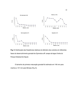 42
Madura ( n=10)

Em maturação (n=9)
14

70

12

60

10

Fr (%)

40
30

8
6

Diâmetro (mm)

1,71

1,57

1,43

1,29

1,14

1

0,86

Diâmetro (mm)

Semi-esgotado (n=7)

Esgotado (n=7)
60

50

50

40

40

Fr (%)

60

30
20

30
20

Diâmetro (mm)

Diâmetro (mm)

Fig. 5: Distribuição das freqüências relativas do diâmetro dos ovócitos em diferentes
fases do desenvolvimento gonadal de Gymnotus aff. carapo da lagoa Verde do
Parque Estadual de Itapuã.

O tamanho de primeira maturação gonadal foi estimado em 146 mm para
machos e 141 mm para fêmeas (Fig. 6).

1,71

1,57

1,43

1,29

1,14

1,00

0,86

0,71

0,57

0,43

0,29

1,71

1,57

1,43

1,29

1,14

1,00

0,86

0,71

0,57

0,43

0
0,29

10

0
0,14

10

0,14

Fr (%)

0,71

0,57

0,43

0,14

1,71

1,57

1,43

1,29

1

1,14

0,86

0,71

0,57

0
0,43

2

0
0,29

4

10
0,14

20

0,29

Fr (%)

50

 