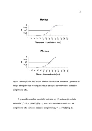 43

240

260

240

260

220

200

180

160

140

120

100

80

60

40

20

1
0,75
0,5
0,25
0
0

Fr

Machos

Classes de comprimento (mm)

220

200

180

160

140

120

100

80

60

40

20

1
0,75
0,5
0,25
0
0

Fr

Fêmeas

Classes de comprimento (mm)

Fig. 6: Distribuição das freqüências relativas de machos e fêmeas de Gymnotus aff.
carapo da lagoa Verde do Parque Estadual de Itapuã por intervalo de classes de
comprimento total.

A proporção sexual da espécie foi estimada em 1:1 ao longo do período
amostrado (χ2 = 2,97; p>0,05) (Fig. 7), e há dimorfismo sexual associado ao
comprimento total na menor classe de comprimento(χ2 = 5; p<0,05)(Fig. 8).

 
