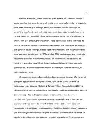 46
Barbieri & Barbieri (1984b) definiram, para machos de Gymnotus carapo,
quatro estádios de maturação gonadal: imaturo, em maturação, maduro e esgotado.
Além disso, afirmam que ao longo do ano não ocorrem grandes variações no
tamanho e na coloração dos testículos e que a atividade espermatogênica ocorre
durante todo o ano, variando, porém, de intensidade; esta é maior de setembro a
janeiro, com pico em outubro e novembro. Pôde-se observar que os testículos da
espécie foco deste trabalho possuem o desenvolvimento e morfologia semelhantes,
com gônadas ativas ao longo de todo o período amostrado, com maior intensidade
entre os meses de setembro de 2003 e abril de 2004, onde encontra-se uma maior
freqüência relativa de machos maduros (ou em reprodução). Os testículos, ao
contrário dos ovários, são difíceis de serem diferenciados macroscopicamente
quanto ao seu estádio de desenvolvimento, a não ser por sua transparência, na
maior parte das vezes.
O conhecimento do ciclo reprodutivo de uma espécie de peixe é fundamental
quer para a proteção dos estoques naturais, quer para o cultivo para fins de
consumo ou repovoamento (Barbieri & Barbieri, 1985). Segundo Giora (2004), a
determinação do período reprodutivo é fundamental para o estabelecimento de todos
os demais aspectos da biologia da espécie, bem como de sua dinâmica
populacional. Gymnotus aff. carapo apresentou um período reprodutivo sazonal,
ocorrendo entre os meses de novembro/2003 e março/2004, o que pode ser
considerado um período de reprodução longo. Barbieri & Barbieri (1983a) estimaram
que a reprodução de Gymnotus carapo é mais curta, ocorrendo entre os meses de
outubro e dezembro, corroborando com os dados a respeito de Gymnotus carapo

 