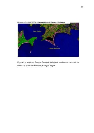 11

Miranda & Coutinho, 2004. CD Brasil Visto do Espaço - Embrapa

Lago Guaíba
A
B

Laguna dos Patos

Figura 2 – Mapa do Parque Estadual de Itapuã, localizando os locais de
coleta. A: praia das Pombas; B: lagoa Negra.

 