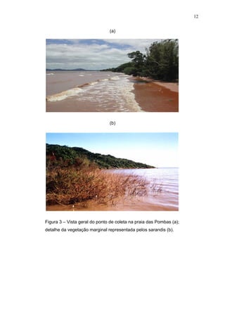 12
(a)

(b)

Figura 3 – Vista geral do ponto de coleta na praia das Pombas (a);
detalhe da vegetação marginal representada pelos sarandis (b).

 