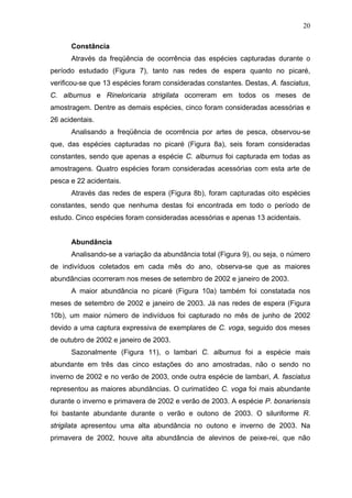 20
Constância
Através da freqüência de ocorrência das espécies capturadas durante o
período estudado (Figura 7), tanto nas redes de espera quanto no picaré,
verificou-se que 13 espécies foram consideradas constantes. Destas, A. fasciatus,
C. alburnus e Rineloricaria strigilata ocorreram em todos os meses de
amostragem. Dentre as demais espécies, cinco foram consideradas acessórias e
26 acidentais.
Analisando a freqüência de ocorrência por artes de pesca, observou-se
que, das espécies capturadas no picaré (Figura 8a), seis foram consideradas
constantes, sendo que apenas a espécie C. alburnus foi capturada em todas as
amostragens. Quatro espécies foram consideradas acessórias com esta arte de
pesca e 22 acidentais.
Através das redes de espera (Figura 8b), foram capturadas oito espécies
constantes, sendo que nenhuma destas foi encontrada em todo o período de
estudo. Cinco espécies foram consideradas acessórias e apenas 13 acidentais.

Abundância
Analisando-se a variação da abundância total (Figura 9), ou seja, o número
de indivíduos coletados em cada mês do ano, observa-se que as maiores
abundâncias ocorreram nos meses de setembro de 2002 e janeiro de 2003.
A maior abundância no picaré (Figura 10a) também foi constatada nos
meses de setembro de 2002 e janeiro de 2003. Já nas redes de espera (Figura
10b), um maior número de indivíduos foi capturado no mês de junho de 2002
devido a uma captura expressiva de exemplares de C. voga, seguido dos meses
de outubro de 2002 e janeiro de 2003.
Sazonalmente (Figura 11), o lambari C. alburnus foi a espécie mais
abundante em três das cinco estações do ano amostradas, não o sendo no
inverno de 2002 e no verão de 2003, onde outra espécie de lambari, A. fasciatus
representou as maiores abundâncias. O curimatídeo C. voga foi mais abundante
durante o inverno e primavera de 2002 e verão de 2003. A espécie P. bonariensis
foi bastante abundante durante o verão e outono de 2003. O siluriforme R.
strigilata apresentou uma alta abundância no outono e inverno de 2003. Na
primavera de 2002, houve alta abundância de alevinos de peixe-rei, que não

 