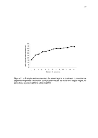 57

Núm ero cum ulativo de espécies

50
45
40
35
30
25
20
15
10
5
0
1

2

3

4

5

6

7

8

9

10

11

12

13

Núm ero de am ostras

Figura 21 – Relação entre o número de amostragens e o número cumulativo de
espécies de peixes capturados com picaré e redes de espera na lagoa Negra, no
período de junho de 2002 e julho de 2003.

 