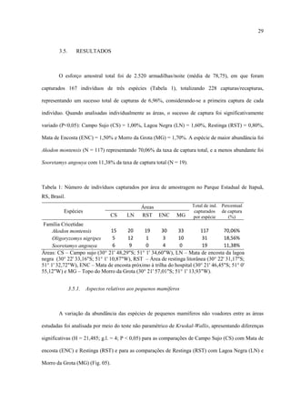 29

3.5.

RESULTADOS

O esforço amostral total foi de 2.520 armadilhas/noite (média de 78,75), em que foram
capturados 167 indivíduos de três espécies (Tabela 1), totalizando 228 capturas/recapturas,
representando um sucesso total de capturas de 6,96%, considerando-se a primeira captura de cada
indivíduo. Quando analisadas individualmente as áreas, o sucesso de captura foi significativamente
variado (P<0,05): Campo Sujo (CS) = 1,00%, Lagoa Negra (LN) = 1,60%, Restinga (RST) = 0,80%,
Mata de Encosta (ENC) = 1,50% e Morro da Grota (MG) = 1,70%. A espécie de maior abundância foi
Akodon montensis (N = 117) representando 70,06% da taxa de captura total, e a menos abundante foi
Sooretamys angouya com 11,38% da taxa de captura total (N = 19).

Tabela 1: Número de indivíduos capturados por área de amostragem no Parque Estadual de Itapuã,
RS, Brasil.
Espécies

CS

LN

Áreas
RST ENC

MG

Total de ind. Percentual
capturados de captura
por espécie
(%)

Família Cricetidae
15
20
19
30
33
117
70,06%
Akodon montensis
5
12
1
3
10
31
18,56%
Oligoryzomys nigripes
6
9
0
4
0
19
11,38%
Sooretamys angouya
Áreas: CS – Campo sujo (30° 21' 48,29"S; 51° 1' 34,60"W), LN – Mata de encosta da lagoa
negra (30° 22' 33,16"S; 51° 1' 10,87"W), RST – Área de restinga litorânea (30° 22' 31,17"S;
51° 1' 32,72"W), ENC – Mata de encosta próximo à trilha do hospital (30° 21' 46,45"S; 51° 0'
55,12"W) e MG – Topo do Morro da Grota (30° 21' 57,01"S; 51° 1' 13,93"W).
3.5.1.

Aspectos relativos aos pequenos mamíferos

A variação da abundância das espécies de pequenos mamíferos não voadores entre as áreas
estudadas foi analisada por meio do teste não paramétrico de Kruskal-Wallis, apresentando diferenças
significativas (H = 21,485; g.l. = 4; P < 0,05) para as comparações de Campo Sujo (CS) com Mata de
encosta (ENC) e Restinga (RST) e para as comparações de Restinga (RST) com Lagoa Negra (LN) e
Morro da Grota (MG) (Fig. 05).

 