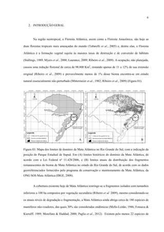 6
2. INTRODUÇÃO GERAL

Na região neotropical, a Floresta Atlântica, assim como a Floresta Amazônica, são hoje as
duas florestas tropicais mais ameaçadas do mundo (Tabarelli et al., 2005) e, dentre elas, a Floresta
Atlântica é a formação vegetal sujeita às maiores taxas de destruição e de conversão de hábitats
(Stallings, 1989; Myers et al., 2000; Laurance, 2009; Ribeiro et al., 2009). A ocupação, não planejada,
causou uma redução florestal de cerca de 98.800 Km2, restando apenas de 11 a 12% de sua extensão
original (Ribeiro et al., 2009) e provavelmente menos de 1% desse bioma encontra-se em estado
natural essencialmente não perturbado (Mittermeier et al., 1982; Ribeiro et al., 2009) (Figura 01).

A

B

Figura 01: Mapa dos limites de domínio da Mata Atlântica no Rio Grande do Sul, com a indicação da
posição do Parque Estadual de Itapuã. Em (A) limites históricos do domínio da Mata Atlântica, de
acordo com a Lei Federal nº 11.428/2006, e (B) limites atuais da distribuição dos fragmentos
remanescentes do bioma de Mata Atlântica no estado do Rio Grande do Sul, de acordo com os dados
georreferenciados fornecidos pelo programa de conservação e monitoramento da Mata Atlântica, da
ONG SOS Mata Atlântica (IBGE, 2008).

A cobertura existente hoje de Mata Atlântica restringe-se a fragmentos isolados com tamanhos
inferiores a 100 ha compostos por vegetação secundária (Ribeiro et al. 2009), mesmo considerando-se
os atuais níveis de degradação e fragmentação, a Mata Atlântica ainda abriga cerca de 180 espécies de
mamíferos não-voadores, das quais 30% são consideradas endêmicas (Mello-Leitão, 1946; Fonseca &
Kierulff, 1989; Morellato & Haddad, 2000; Paglia et al., 2012). Existem pelo menos 22 espécies de

 